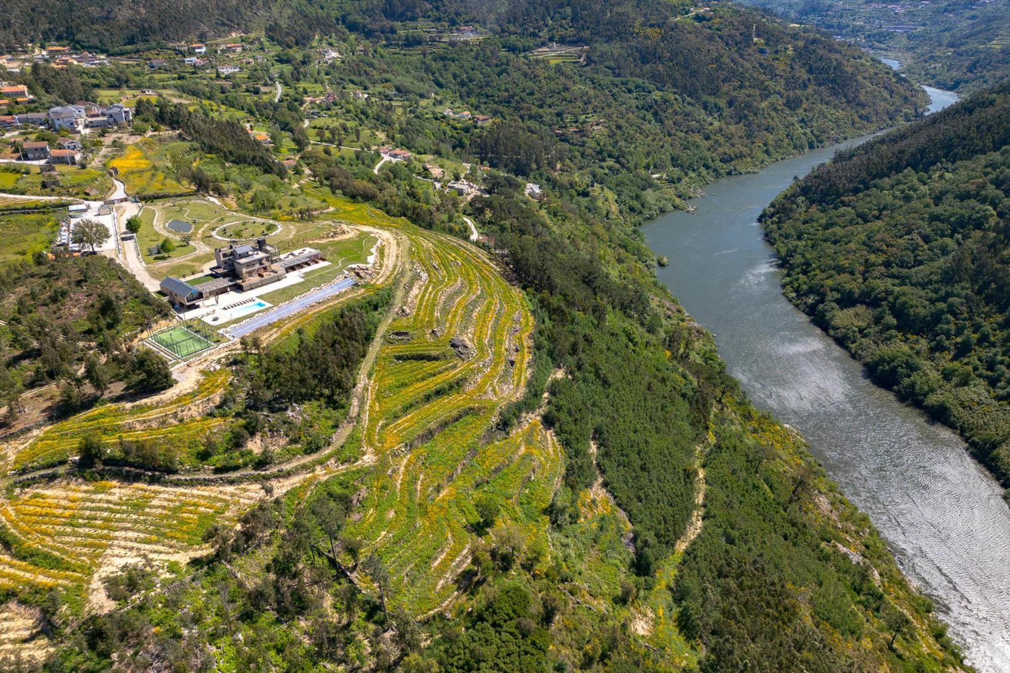 Quinta De Cabanas Douro Country House Penha Longa Exterior photo